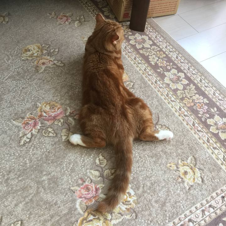 C9df38cc 555a 4399 96aa 0389d1bc257e 1557626000199