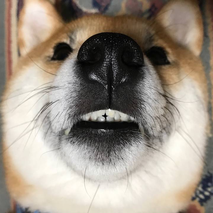 C9df4c56 9c8a 4296 b92d fd880f50754f 1524314242531