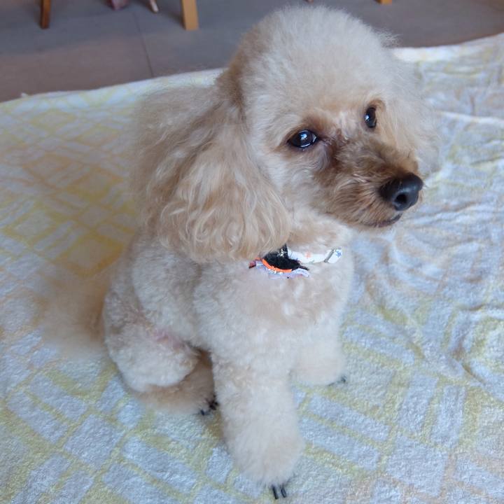 C9df64d4 de8b 4920 80bf 65b41a30f822 1571688747337