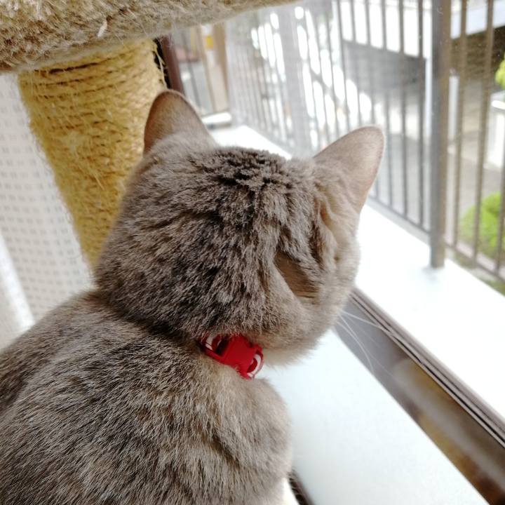 C9df86ca c95d 453d 987f 21110b12e0fe 1537761167508