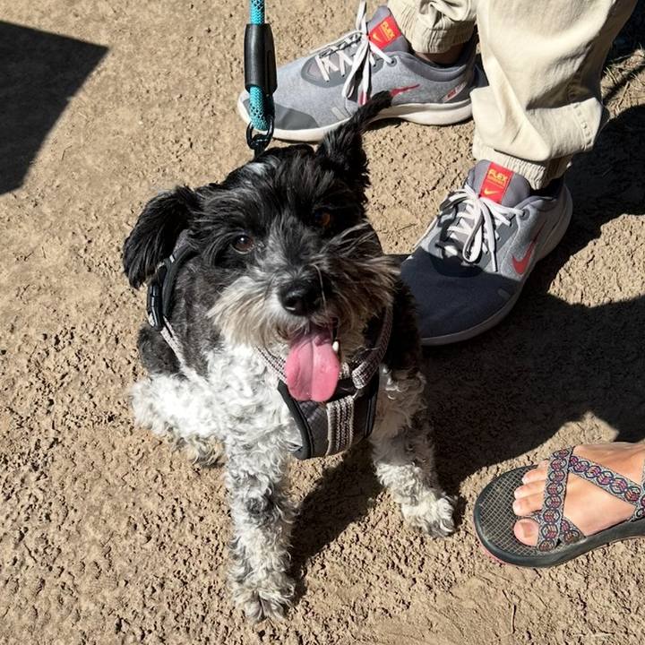 C9dfdfdc 4169 4296 affa d0dbf93b8992 1761140876952