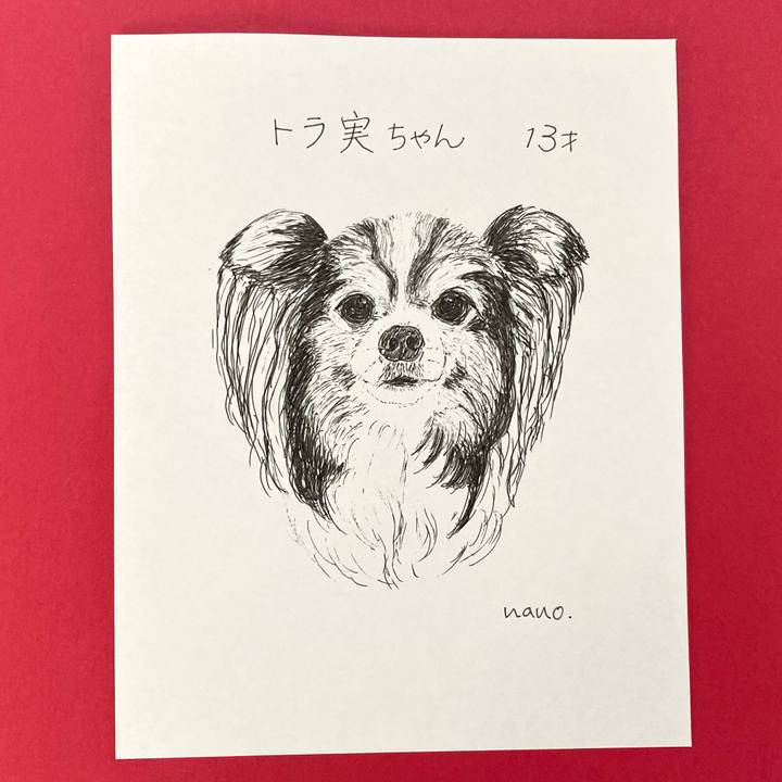 C9dfe729 7553 4b9b bc8e 104edb66ed27 1647123131850