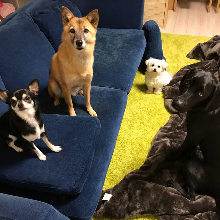 C9dfee08 67a0 4fa0 b27f 319be7d73cde 1513410896184