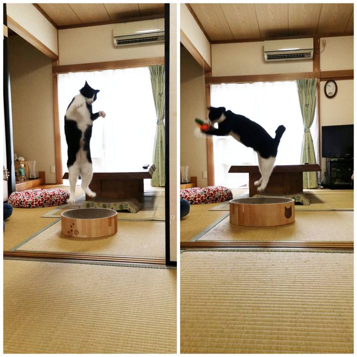 C9dff241 4f27 4db2 b723 0453863baf4d 1597325266186