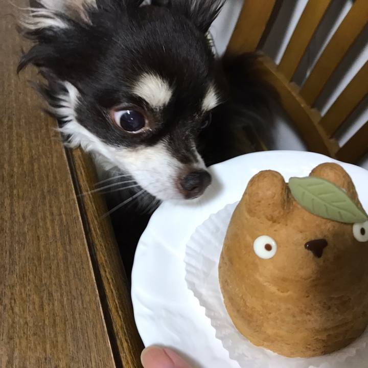 C9dffaad 1ff6 4437 b3ab e0d367ad2772 1560337054886