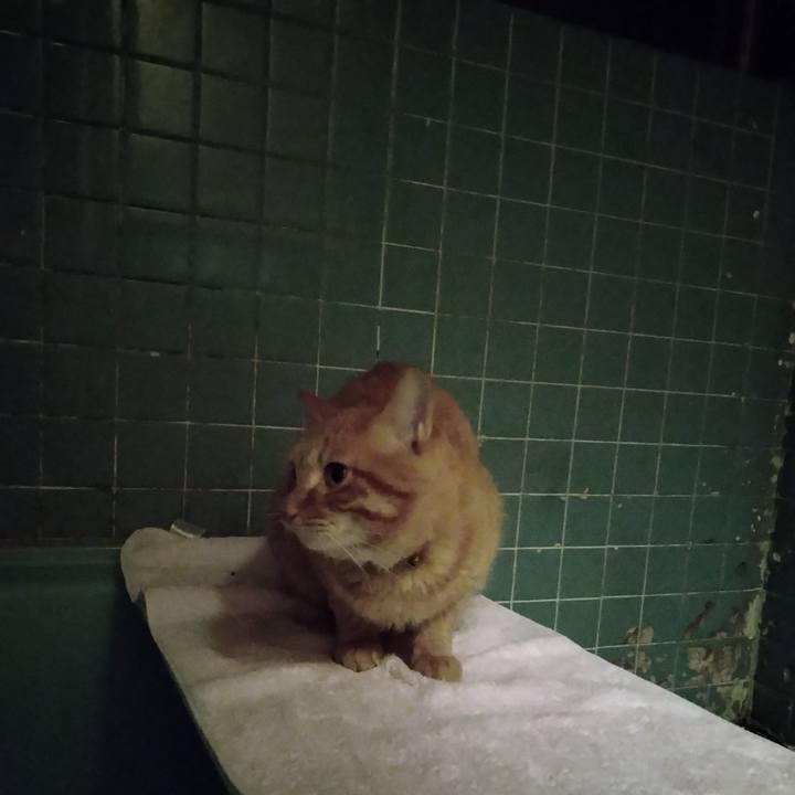 C9e07f5c 2e1e 4223 98bf 6729a6b0af66 1667033995263