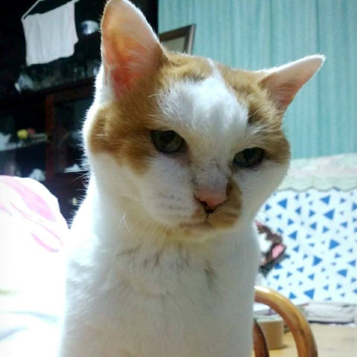 C9e0864e 078d 445c 89ab 35e1fb0080ce 1507726076786