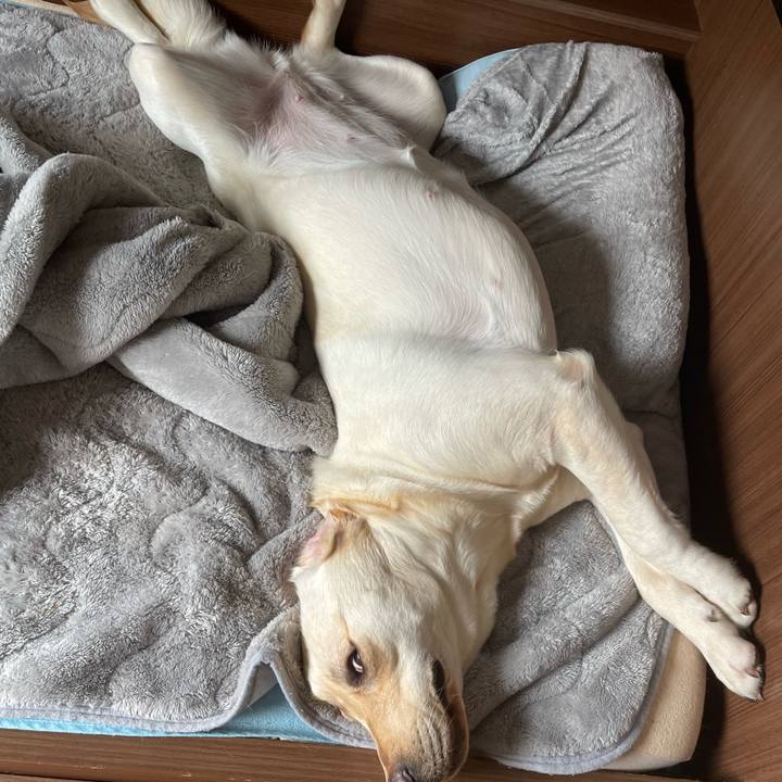 C9e08f61 6e2a 483b 9f00 531755715e4f 1652102020546