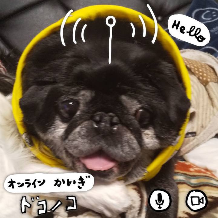 C9e09b3d 795a 4ba0 9aab a259c09f5b90 1590724257298