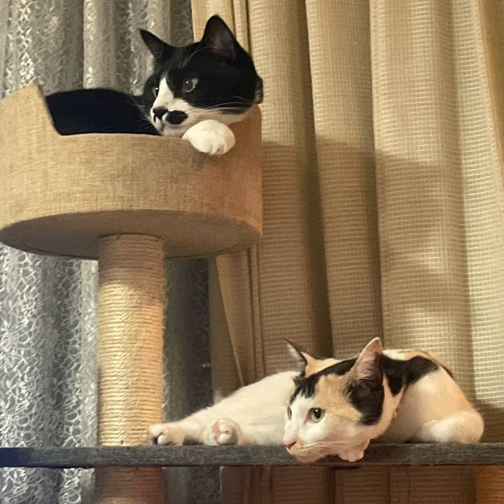 C9e0c438 a986 42b4 8acd 5fdb4fae9371 1706536280876