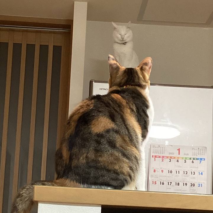 C9e0cce8 2b34 472a b427 c5c5bf15395e 1675121764462