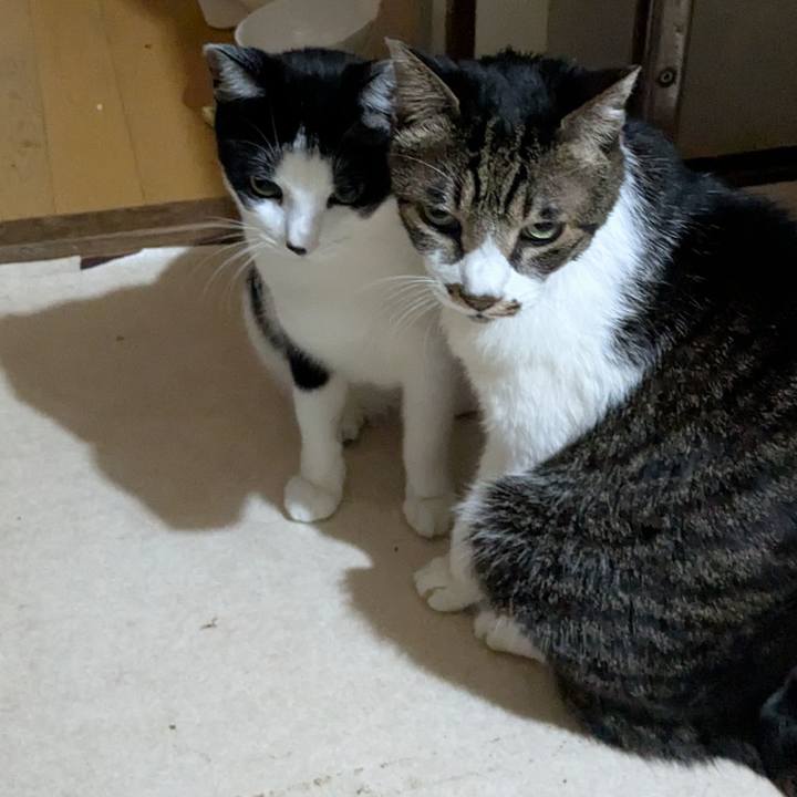 C9e0dec0 d3ca 4a74 abc5 02ccb494f475 1761283553205