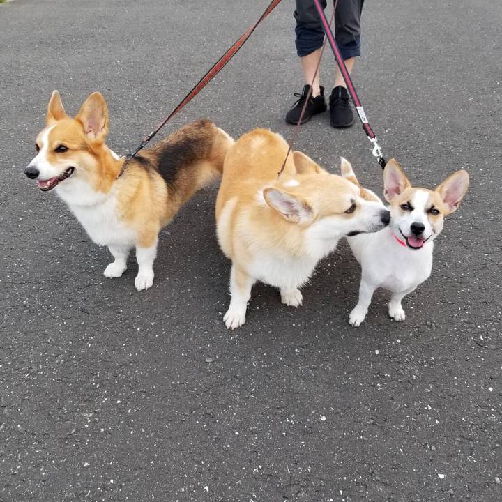 C9e134eb a6e6 4884 b025 eb1305b17374 1563323916392