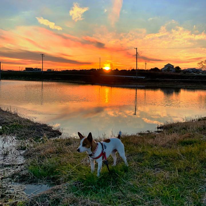 C9e1afd1 e419 4cfe a52d a8f41b7b29c5 1580653595996