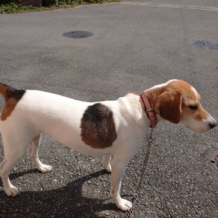 C9e1babe 324f 42dc b93a 9d6c91ca4dc9 1602672072809