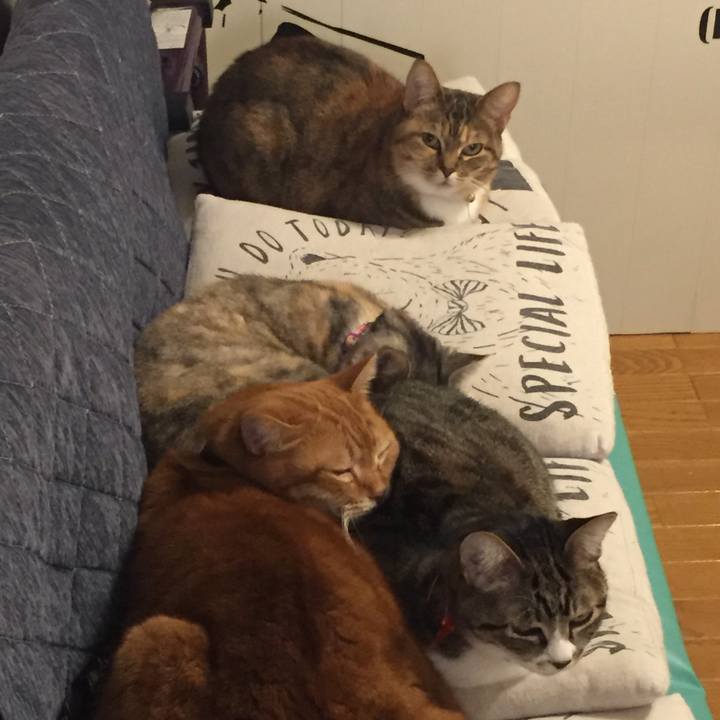 C9e1cedb aacb 44dd a402 7e1c83761ade 1547889421549