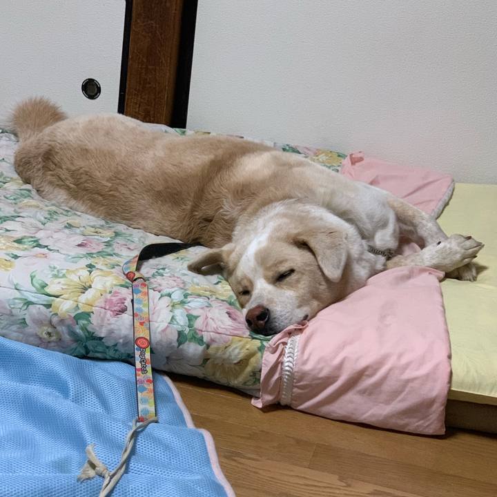 C9e1e4fd 09bc 461f bffb 218facd94b01 1565705951864