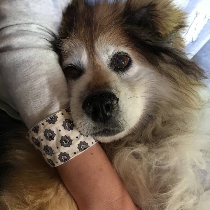 C9e205af 65f9 41c4 a892 14a7e75038ea 1585538050762