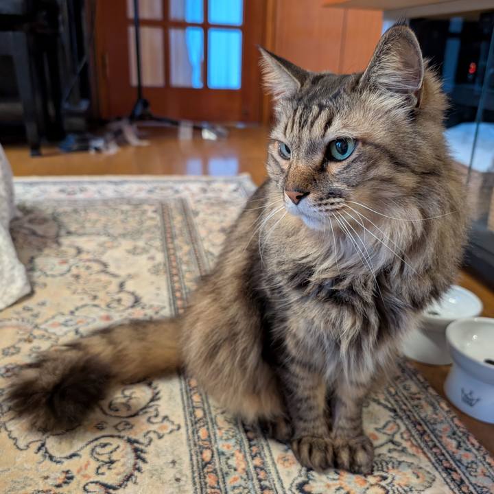 C9e23896 32b8 4ac0 a750 e979282484d0 1774738577619