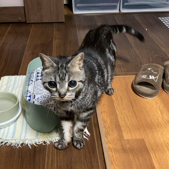 C9e2673d 1ad1 483b 9472 d7f65c8ef659 1682512707363