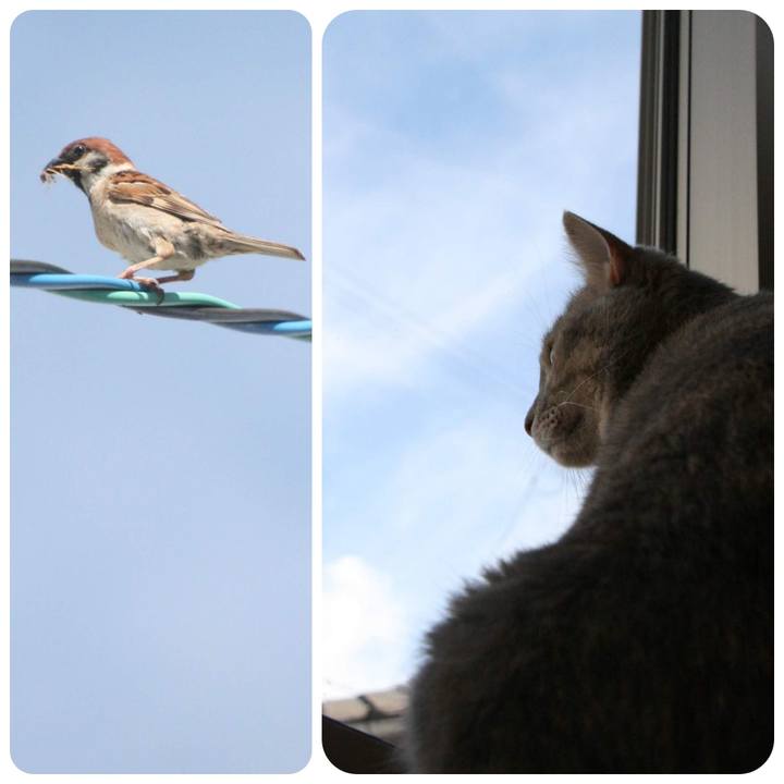 C9e27025 d37d 4b4a b5c5 d4f8b83157f8 1531098885404