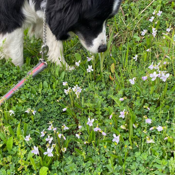 C9e2a71f 3094 4686 b211 91595ffec026 1617062444348