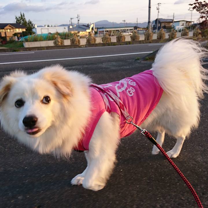 C9e32b3e 7245 4201 81b9 295840149f96 1508296579078