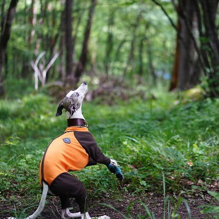 C9e3407c e984 455b 83a0 a7fc145e3c70 1530436659995