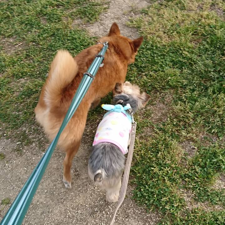 C9e38179 a0e9 4e06 9d4e 5106cd054f78 1523173571492