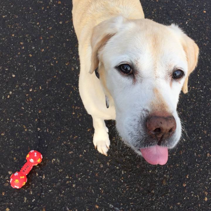 C9e3846b 9614 4008 a154 c2e71d5f54e4 1548819288272