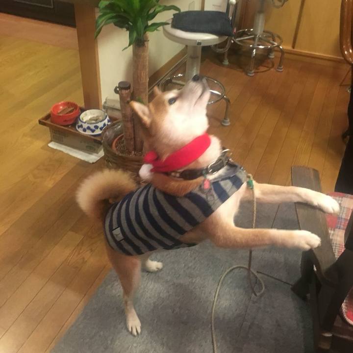 C9e3c528 2e1d 4b70 abc4 99cdd1b1cd75 1514102346732