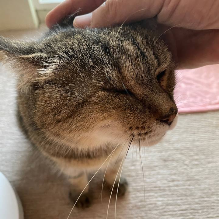 C9e3eadb 3c23 43fa 8152 9a4db435a12e 1718145552806