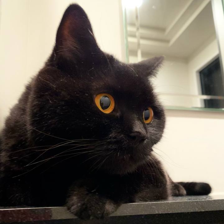 C9e41c4f e53f 4af6 bea9 1fd6512feffa 1658659847282