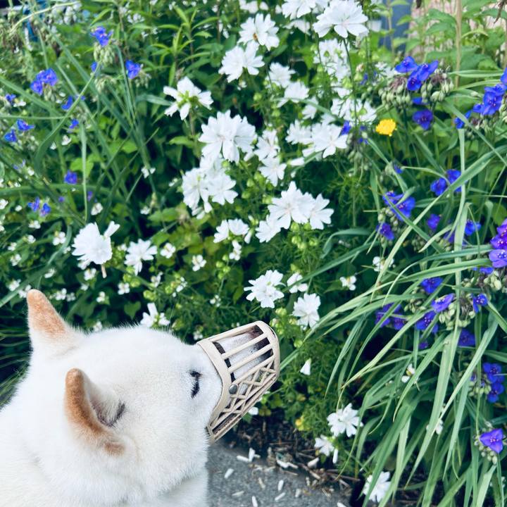 C9e45a80 b2ea 4d8c 9b1a a3aa837b83a1 1751494764853