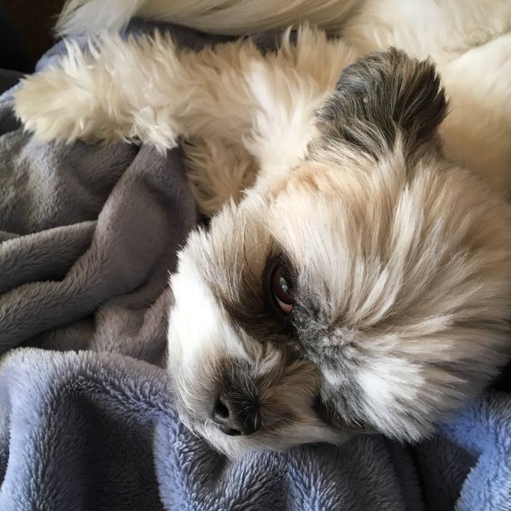 C9e472a3 f42b 4b0c 8d6b 982015cb6553 1516316013894