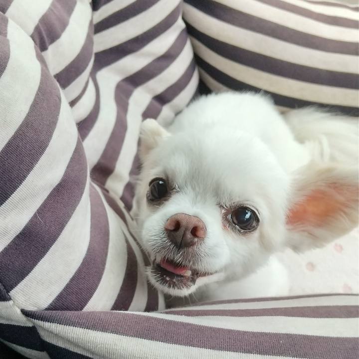 C9e49921 7034 4843 b3b3 5c20be86dbbb 1624300165440