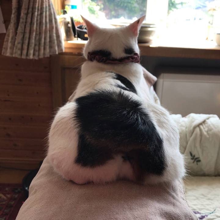 C9e4c25b 7558 415d 909a 2150fb694420 1621475053772