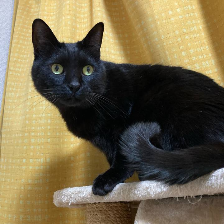 C9e4c9db 42b4 4634 bec4 e4840fd65835 1777044852672