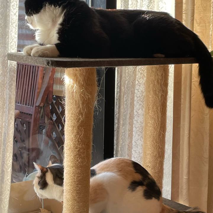 C9e4f142 0891 4d76 aa41 0a89022593fb 1738883720330