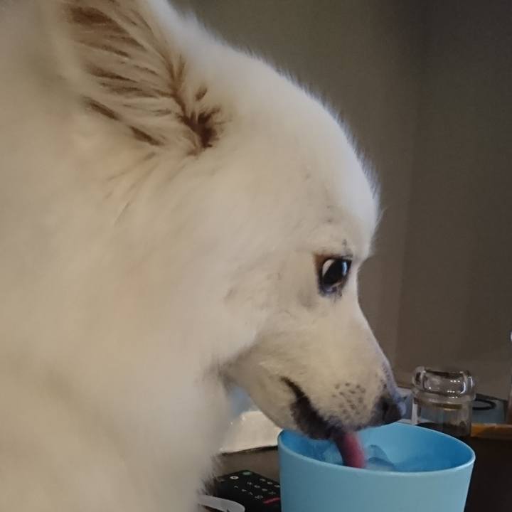 C9e4f165 dc7d 4fa2 91e2 a37a249ed532 1596553375901