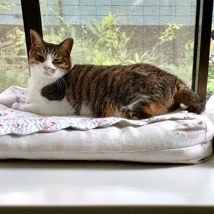 C9e502ce 8414 4ee2 86cb 390010453e3a 1564126206964