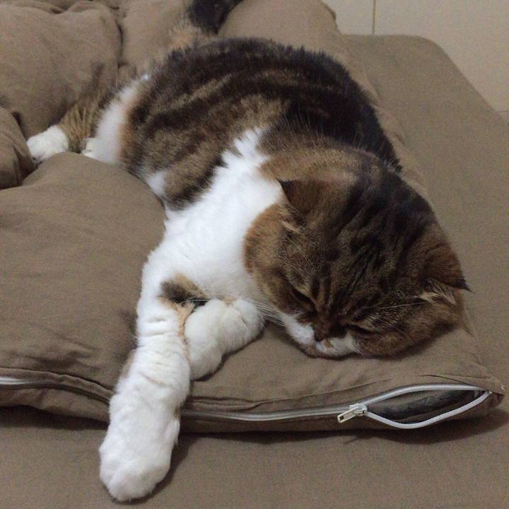 C9e518bd d4ec 405d 87e8 b35347d072f9 1507942381111