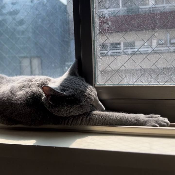 C9e51e2e 5aa8 446c a9a1 d635deed652a 1742876476254