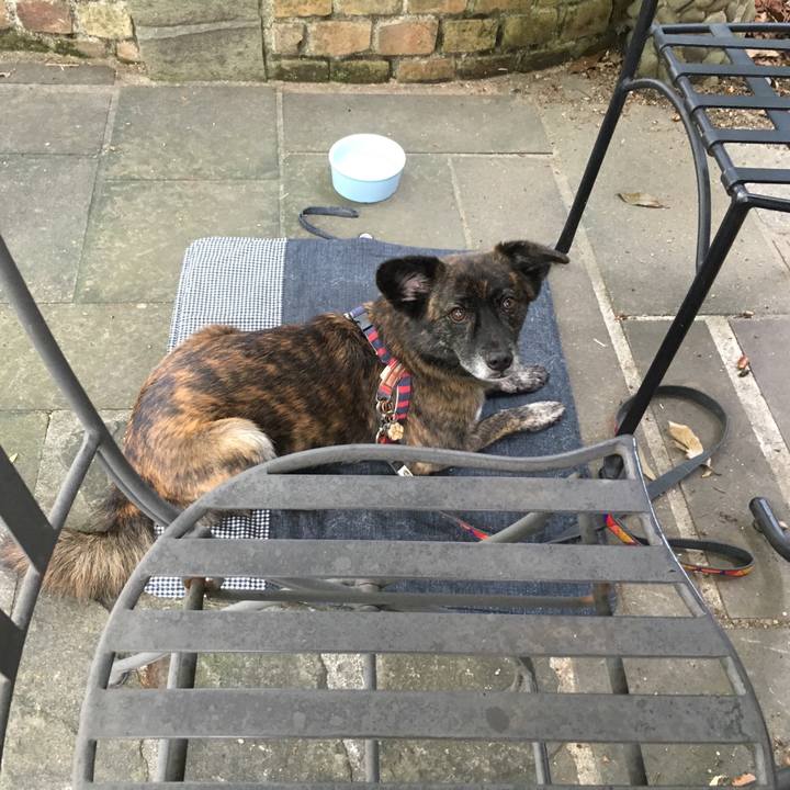 C9e535d3 dc81 49f6 8772 b4b8eb438bb7 1507901383275