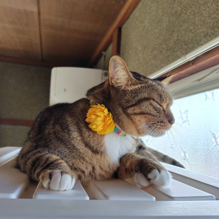 C9e544d2 1419 4e36 be7b ea79d9a7d310 1763609379373