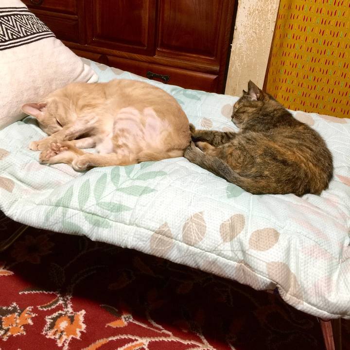 C9e547c4 b3b5 4d20 ba2d c959824fea72 1632439217230