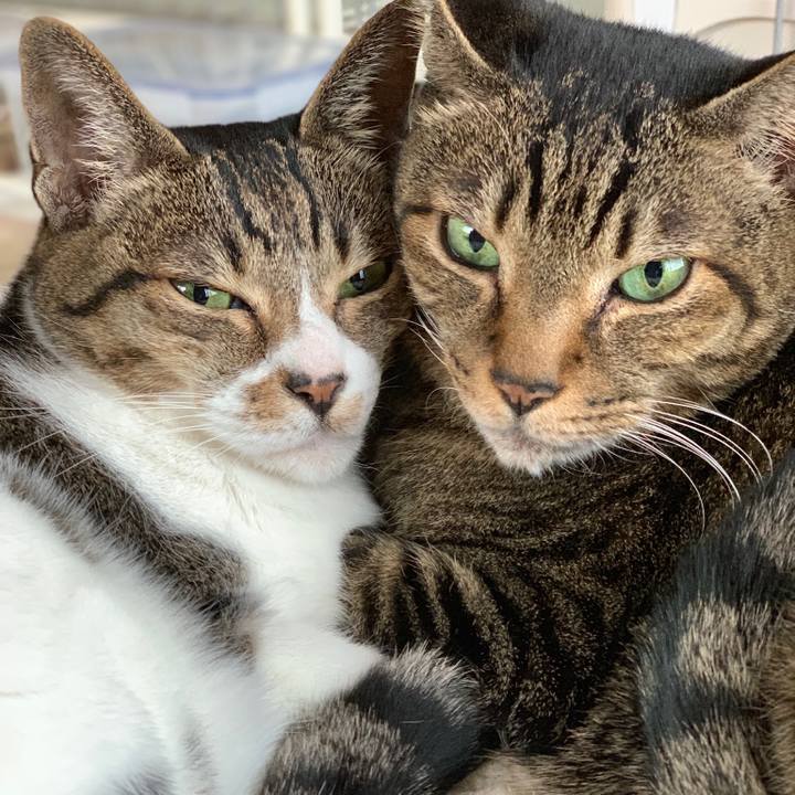 C9e54a84 ce1b 4d6f b2a2 7567d718b938 1542417140918