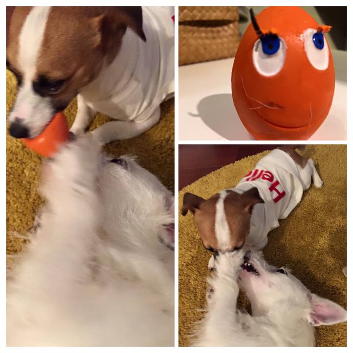 C9e56629 b35d 40e7 9d0c b653abd3dd79 1658449959325