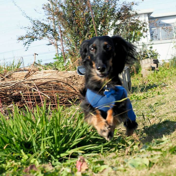 C9e58ef3 a9ef 46ae 8990 eaa37b33dc6b 1573971774738