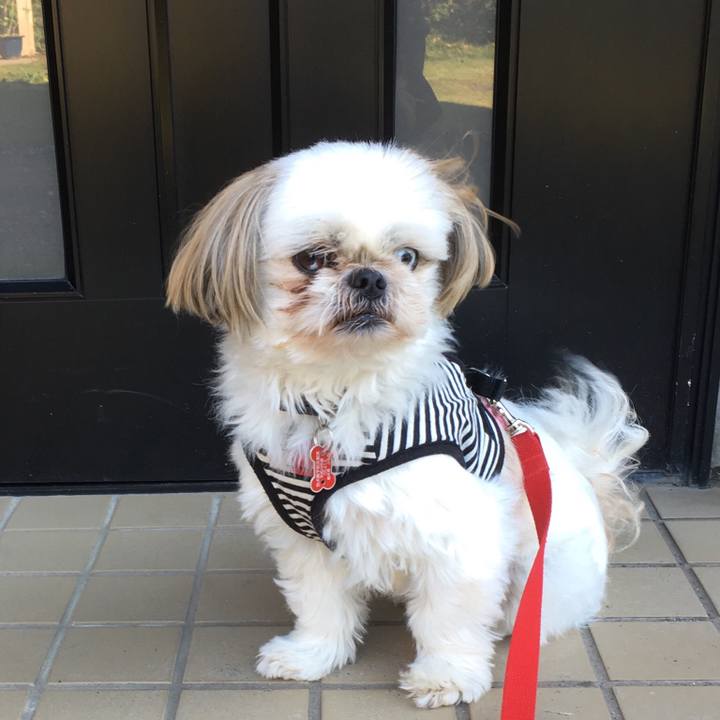 C9e5b3b1 7908 4c0b 8b16 a2e1c48e25a7 1509327642147